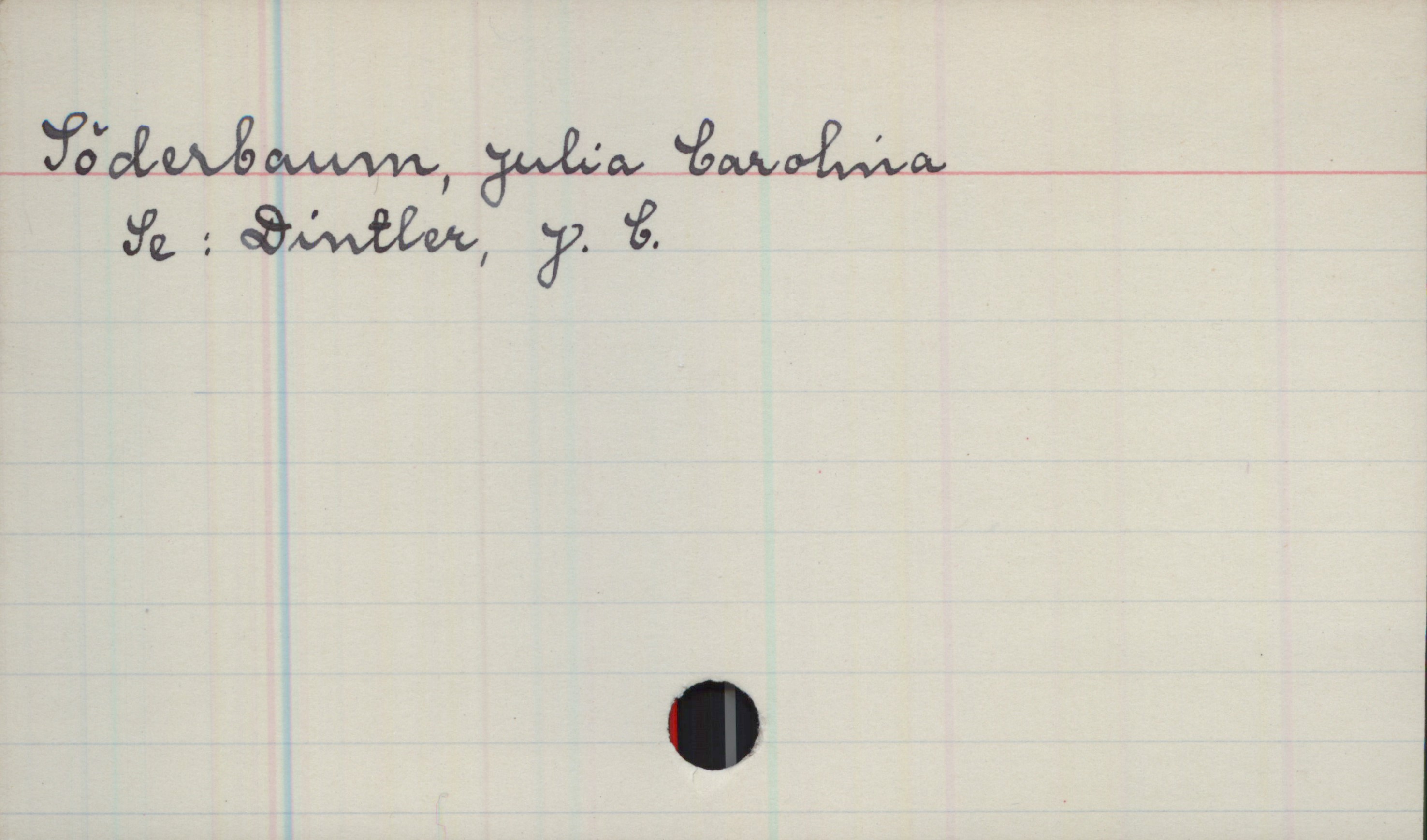 Söderbaum, Julia Carolina Söderbaum, Julia Carolina
Se: Dintler, J. C.