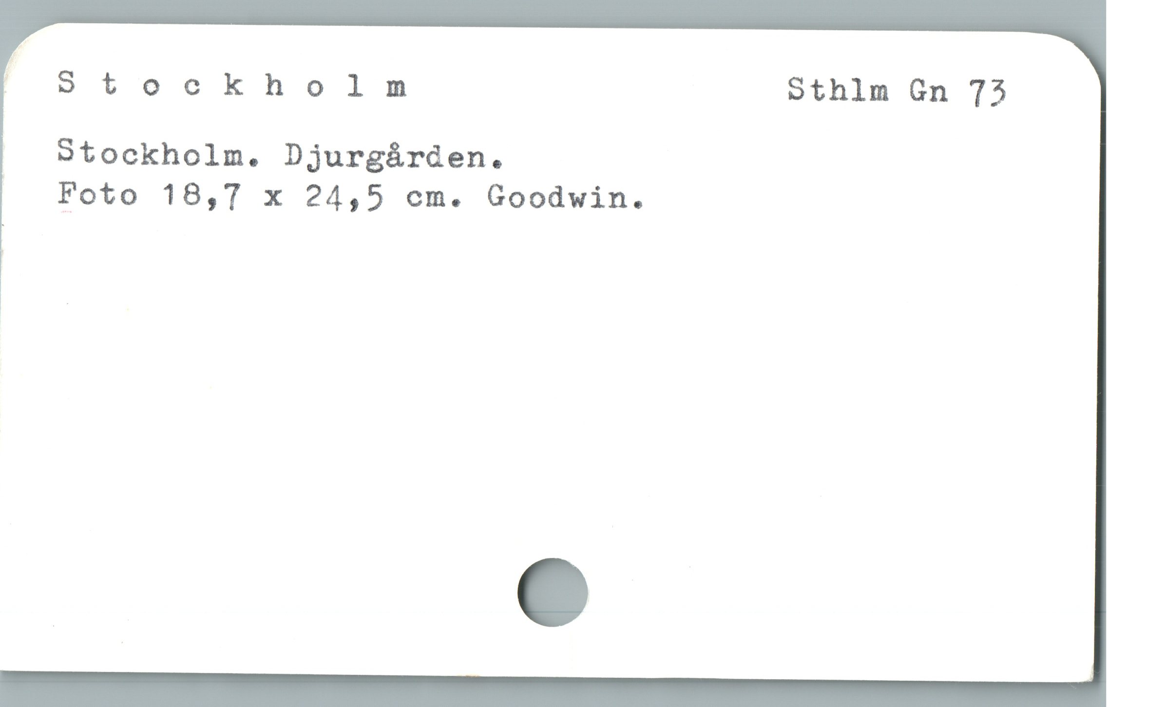  o Stockholm Sthlm Gn 73
Stockholm. Djurgárden.
Foto 18,7 x 24,5 cm. Goodwin.

1 |
