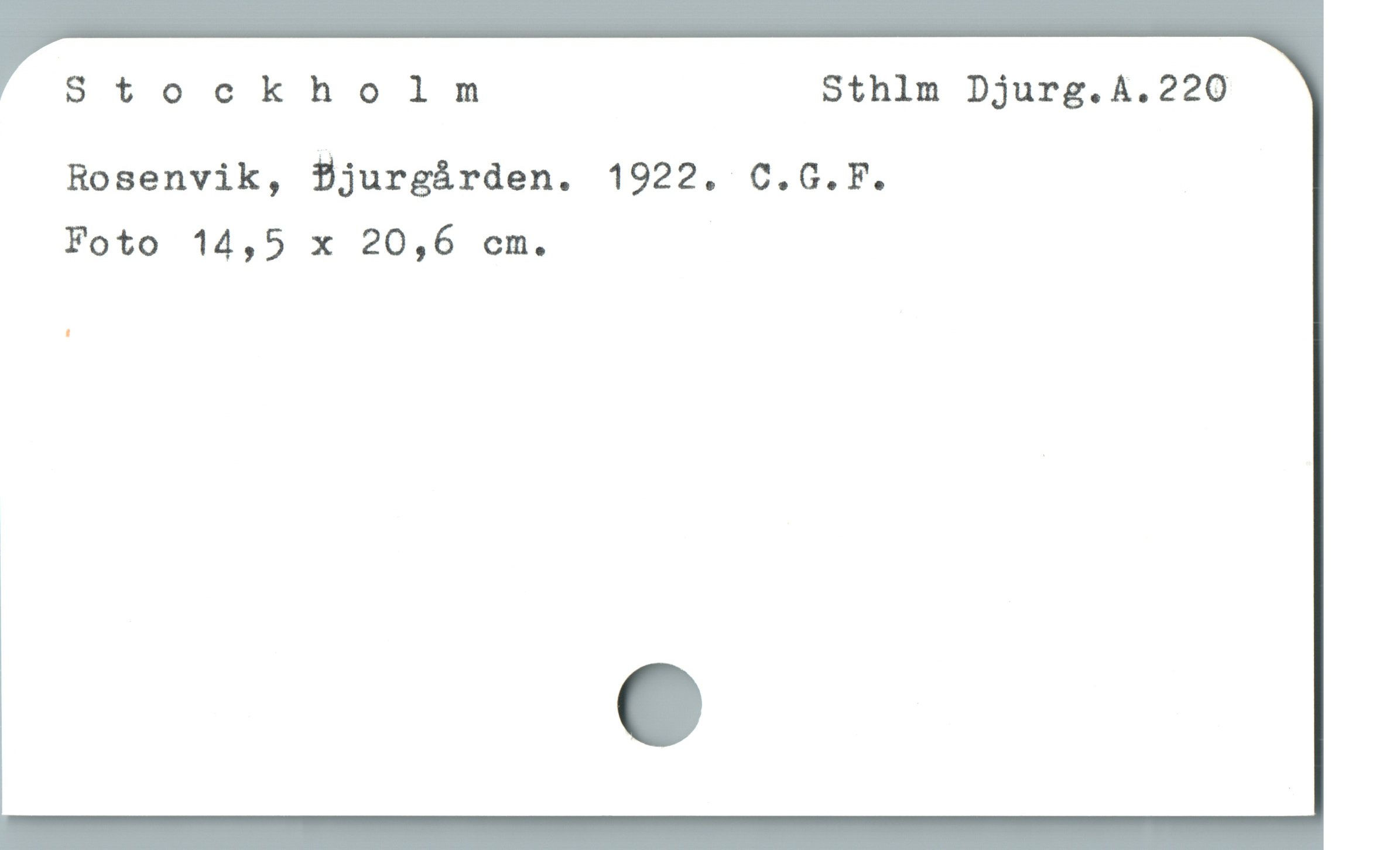  Stockholm Sthlm Djurg.A.220
Rosenvik, f$jurgárden. 1922. C.G.F.
Foto 14,5 x 20,6 cm.
