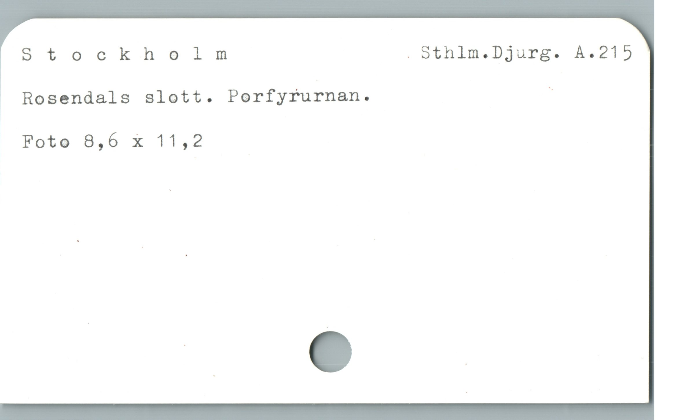  Stockholmnm . Stnlim.Djurg. A.215
Rosendals slott. Porfyrufnan. ]
Foto 8,6 x 11,2
