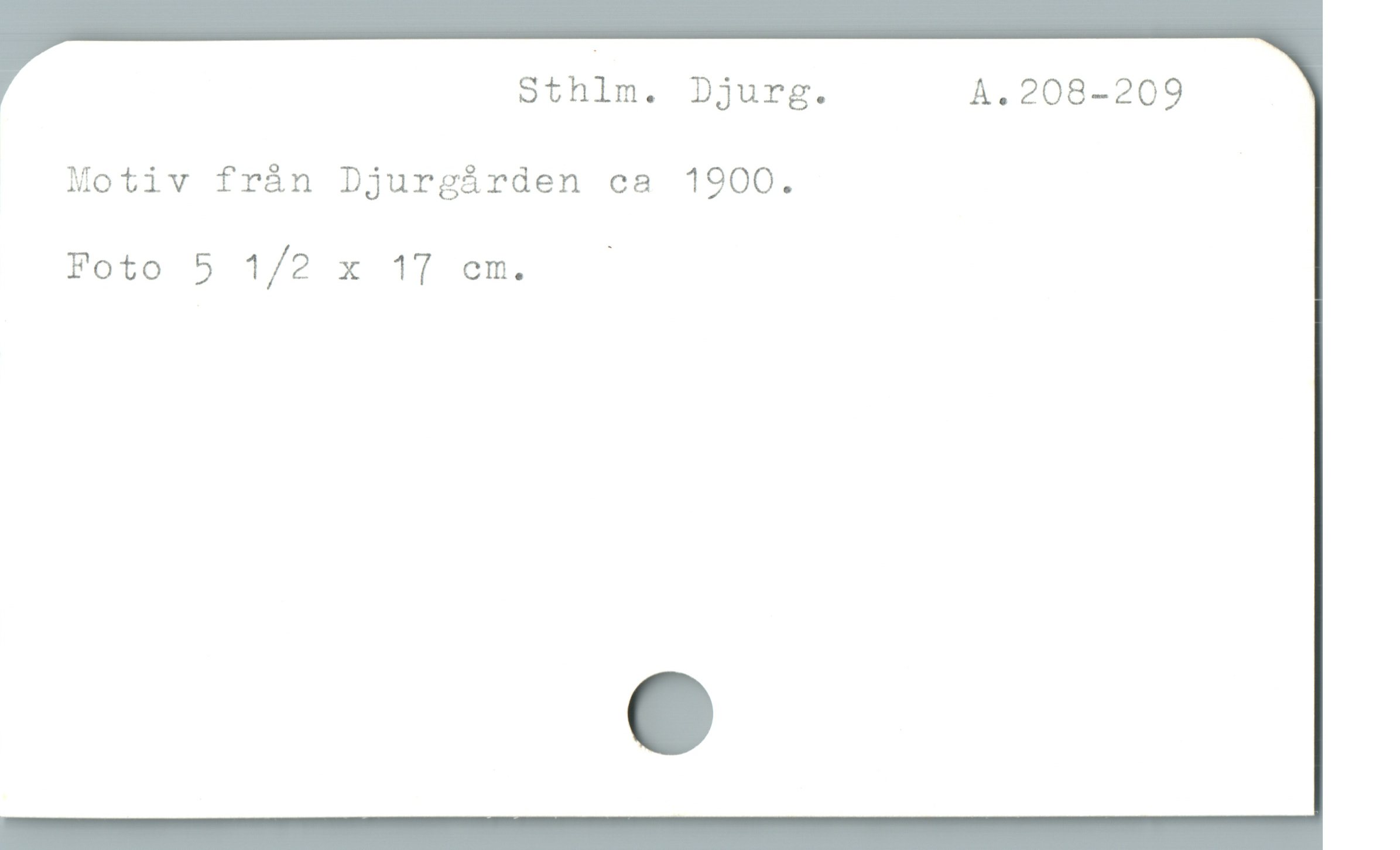  Sthlm. Djurg. ÀA.208-209
Motiv frán Djurgárden ca 1900.
Foto 5 1/2 x 17 em. . —
