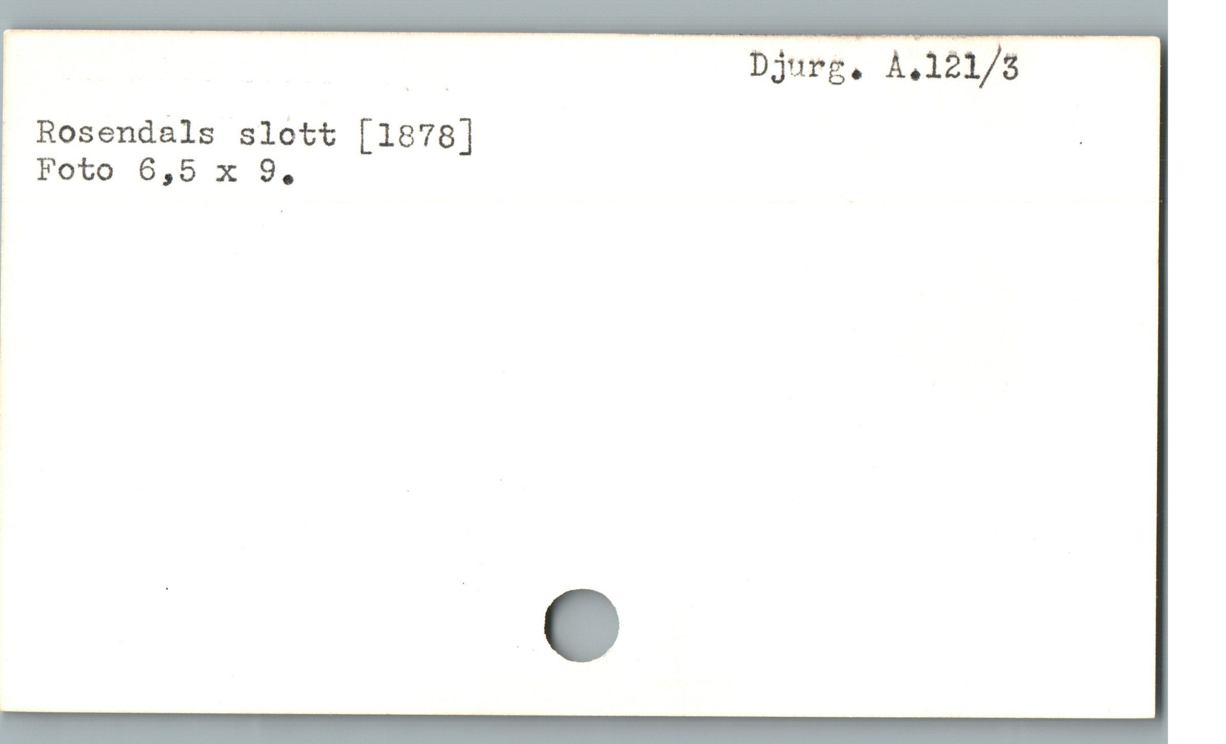  ET | Djurg,. À.121/8
. Rosendals slott [1878] '
| Foto 6,5 x 9,
