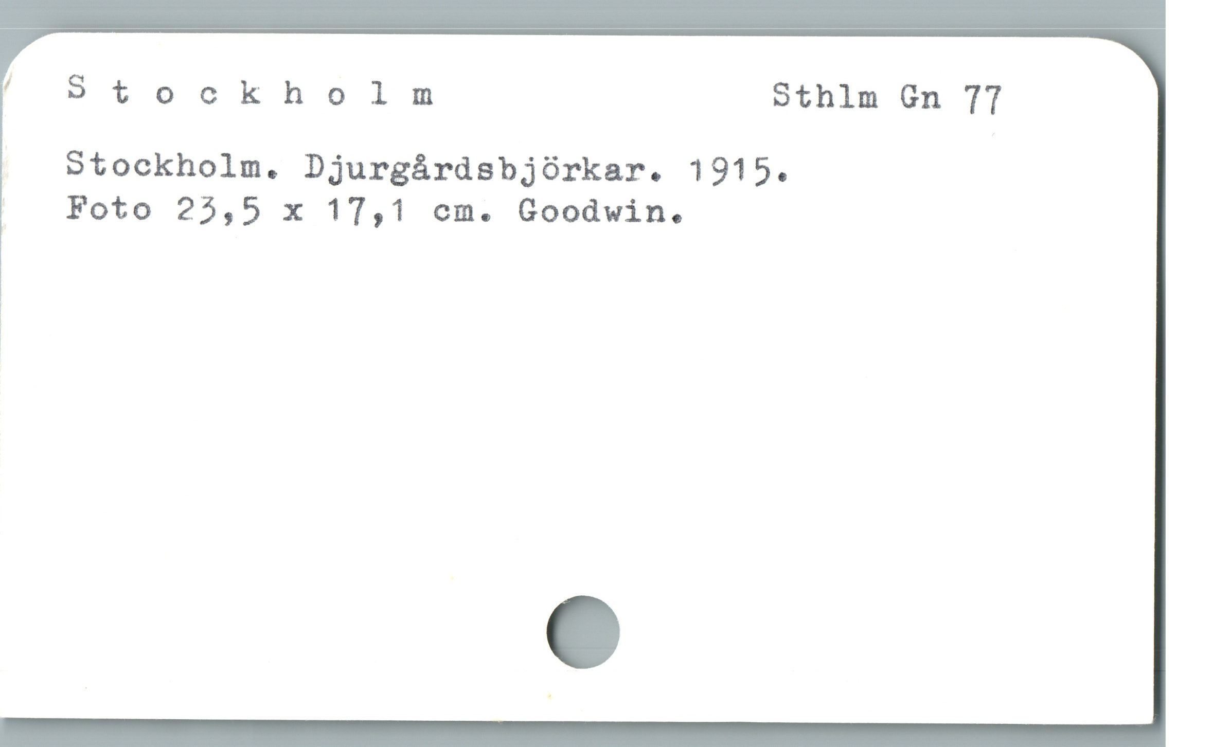  ^ Stockholnm Sthlm Gn 77
Stockholm. Djurgárdsbjórkar. 1915.

! Foto 25,5 x 17,1 cm. Goodwin.

|
