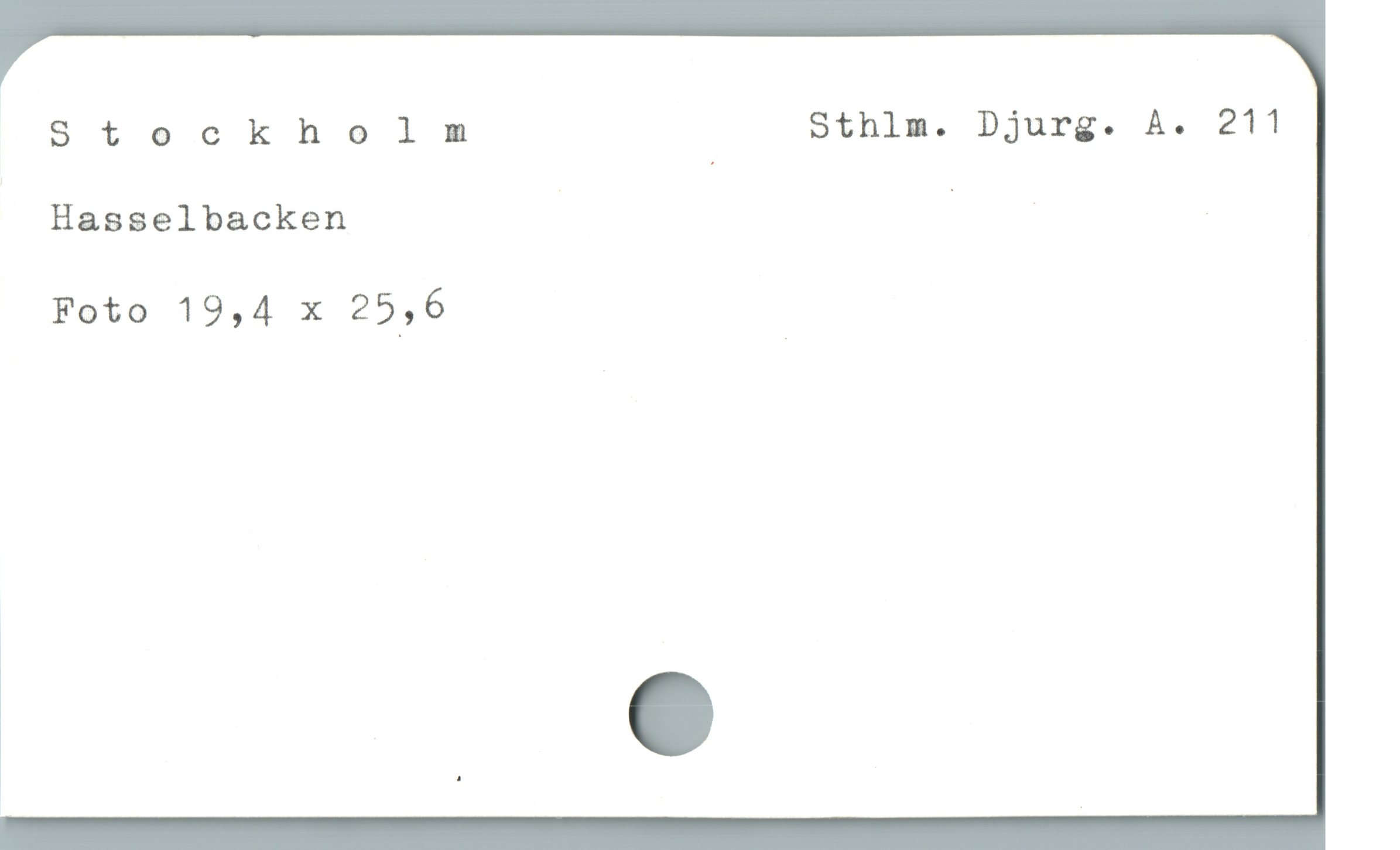  Stockholm Sthlm. Djurg. A. 211
Hasselbacken | |
Foto 19,4 x 25,6

|

