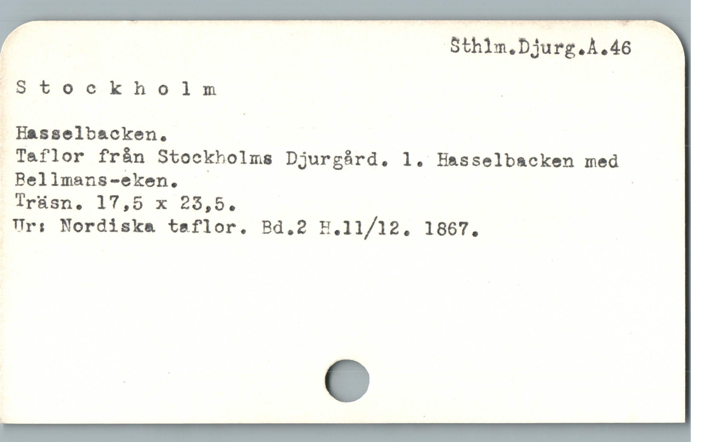  ä Drposkhóoln
l Hasselbacken.
Taflor från Stockholms Djurgürd. l. Hasselbacken med
 BRellmans-eken,. - |
Trüsn. 17,5 x 25,5,
Ur: Nordiskea teflor. Bd.2 H.11/12. 1867.
