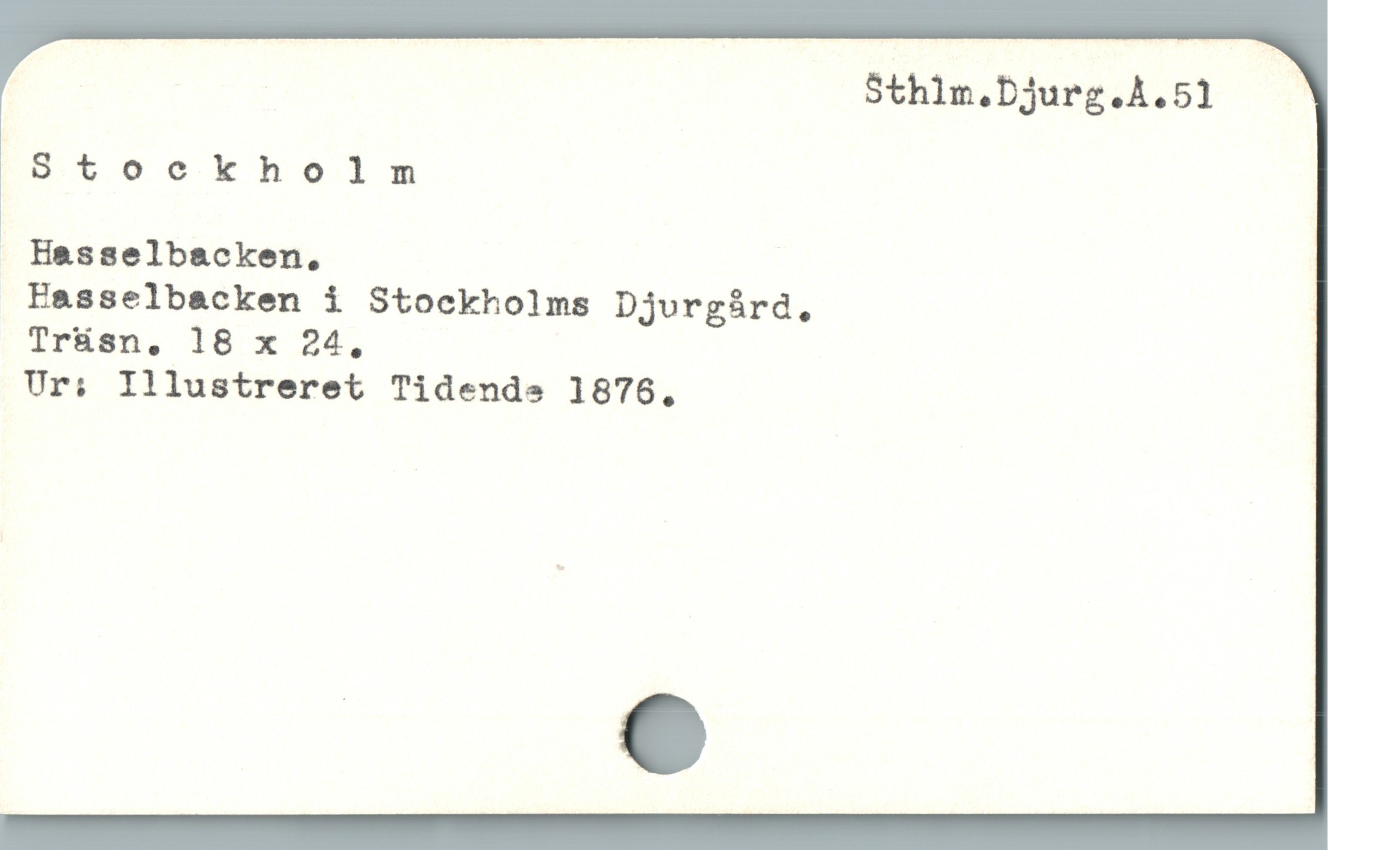 Sthlm,Djurg.A.51
Dtoeokholn
. Hasselbacken,
Easselbacken i Stockholms Djurgird,
Trüásn, 18 x 24,
Ur; Illustreret Tidende 1876,
