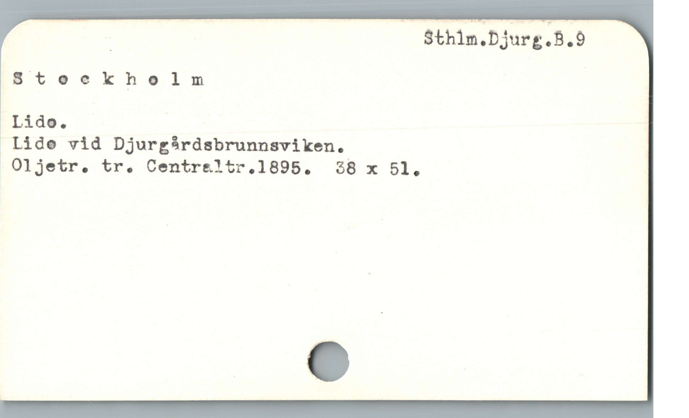  _ j Sthlm.Djurg.B.d
Steekheln
Lido. |
. lide vid Djurg$rdsbrunnsviken. j
. Oljetr. tr. Centre&ltr.1895. 38 x 51.
