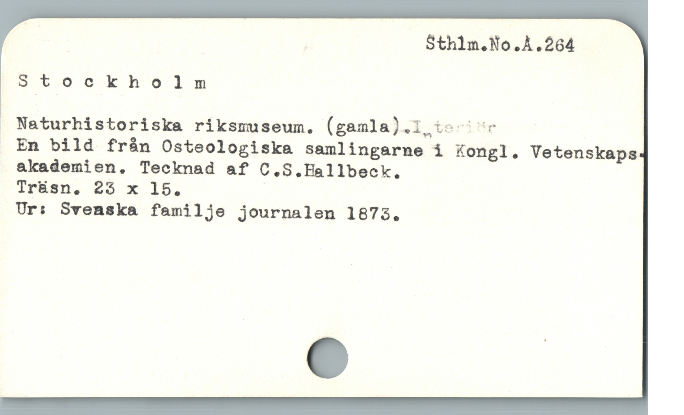  & | | Sthlm.No.A.264

Stockholm

Naturhistoriska riksmuseum. (gamla).1, :« ^"«

En bild frán Osteologiska samlingarmne i Kongl. Vetenskaps
. akademien. Tecknad af C.S.Hallbeck.

Tr&sn. 25 x 15. |

Ur: Svenska familje journalen 1873.
