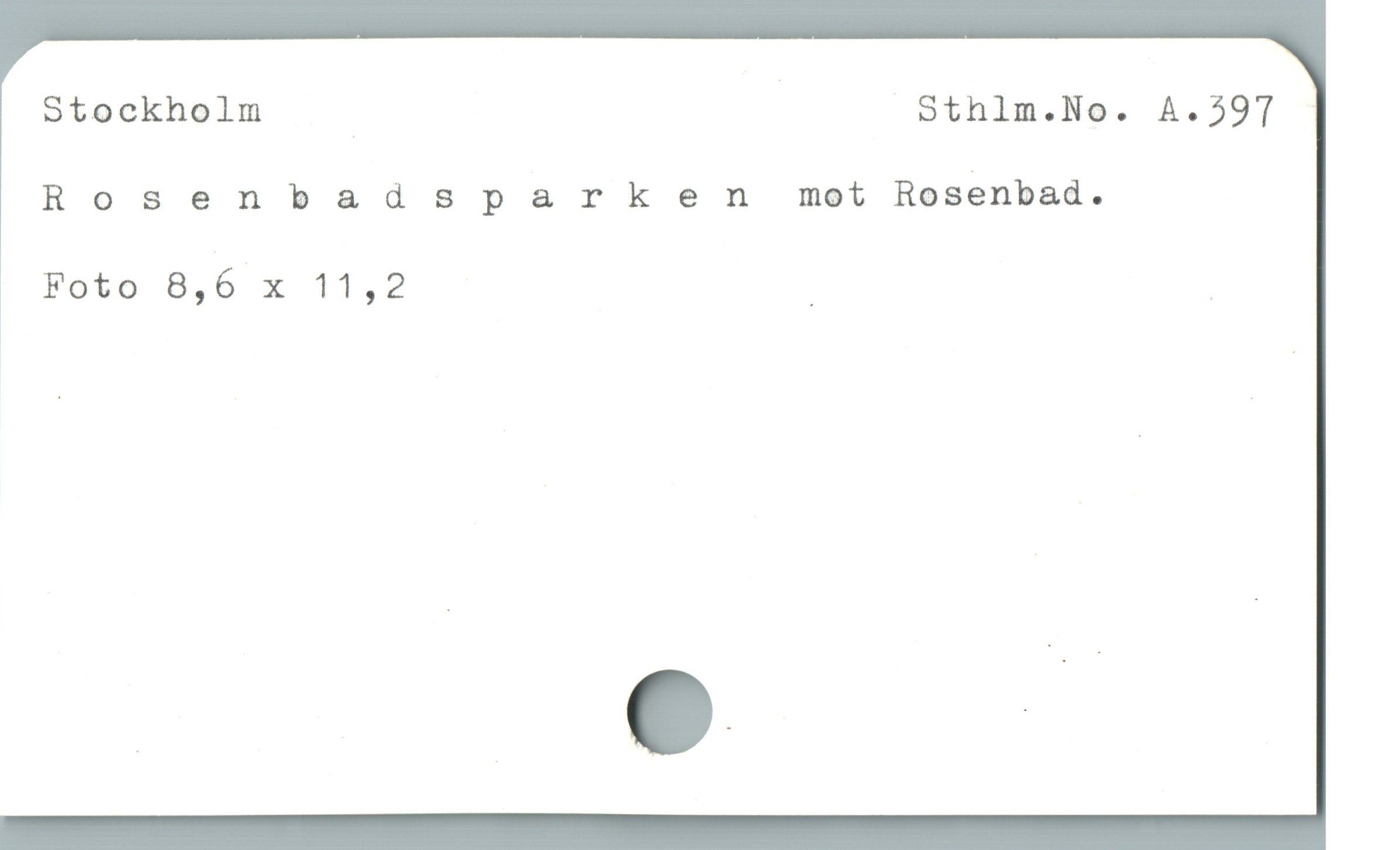  Stockholm - | Sthlm.No. A.297
Rosenbadsparken mot Rosenbad.
Foto 8,6 x 11,2 | .
