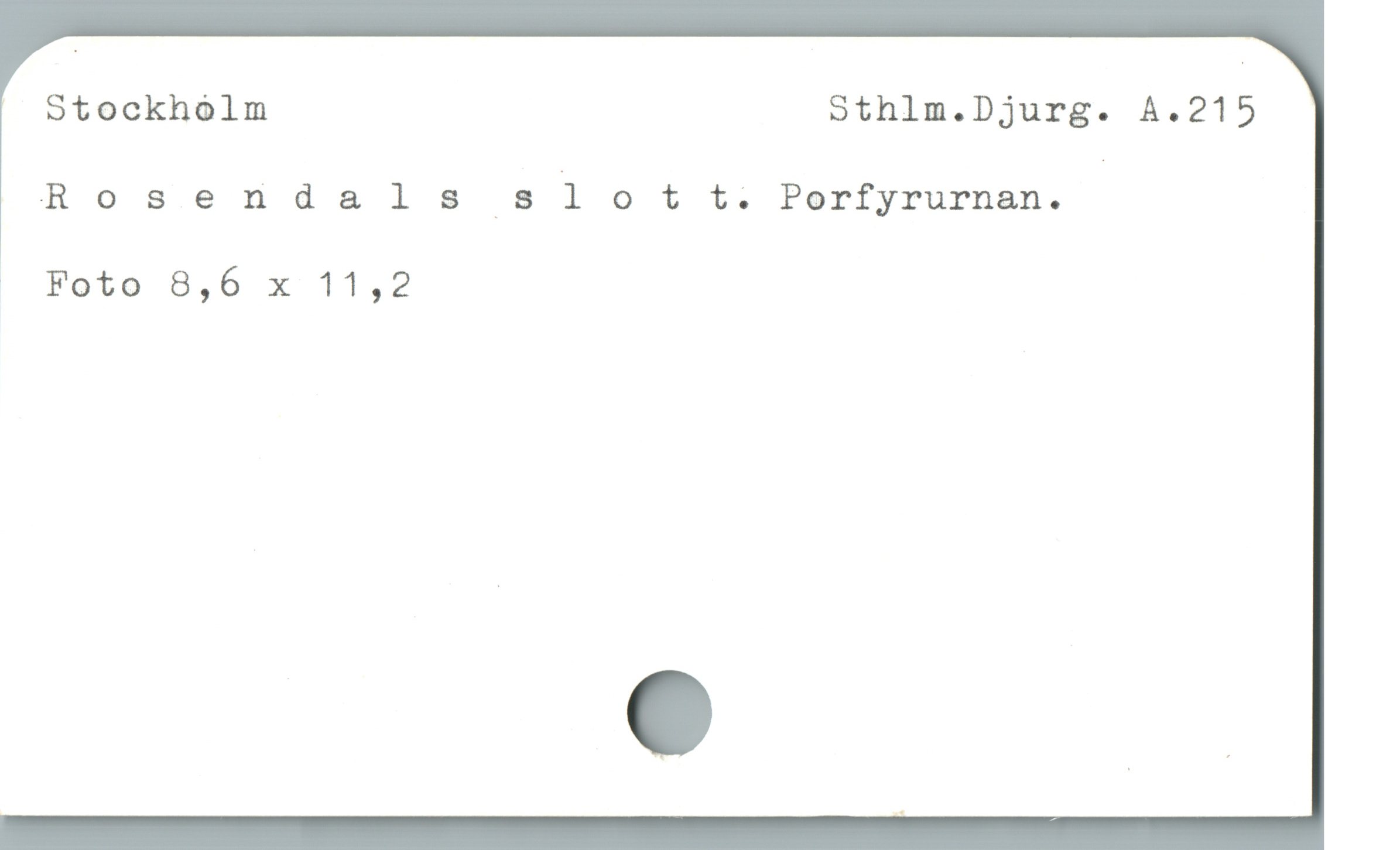  | Stockholm Sthim.Djurg. A.215
Rosendals s lott. Porfyrurnan.
J Foto 8,6 x 11,2
