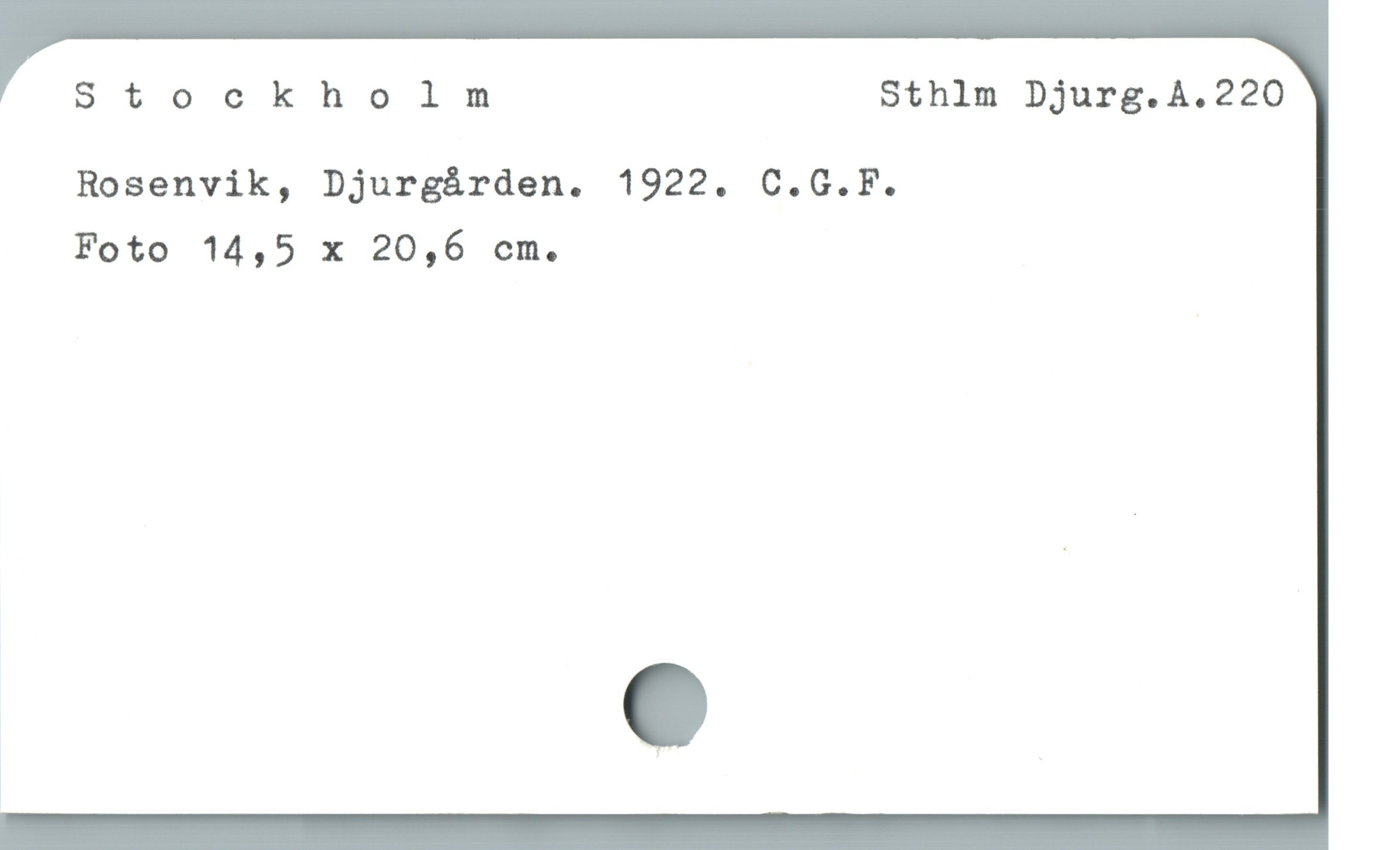  Stockholm Sthlm Djurg.A.220
Rosenvik, Djurgården. 1922. C.G.F.
Foto 14,5 x 20,6 cm.

å
