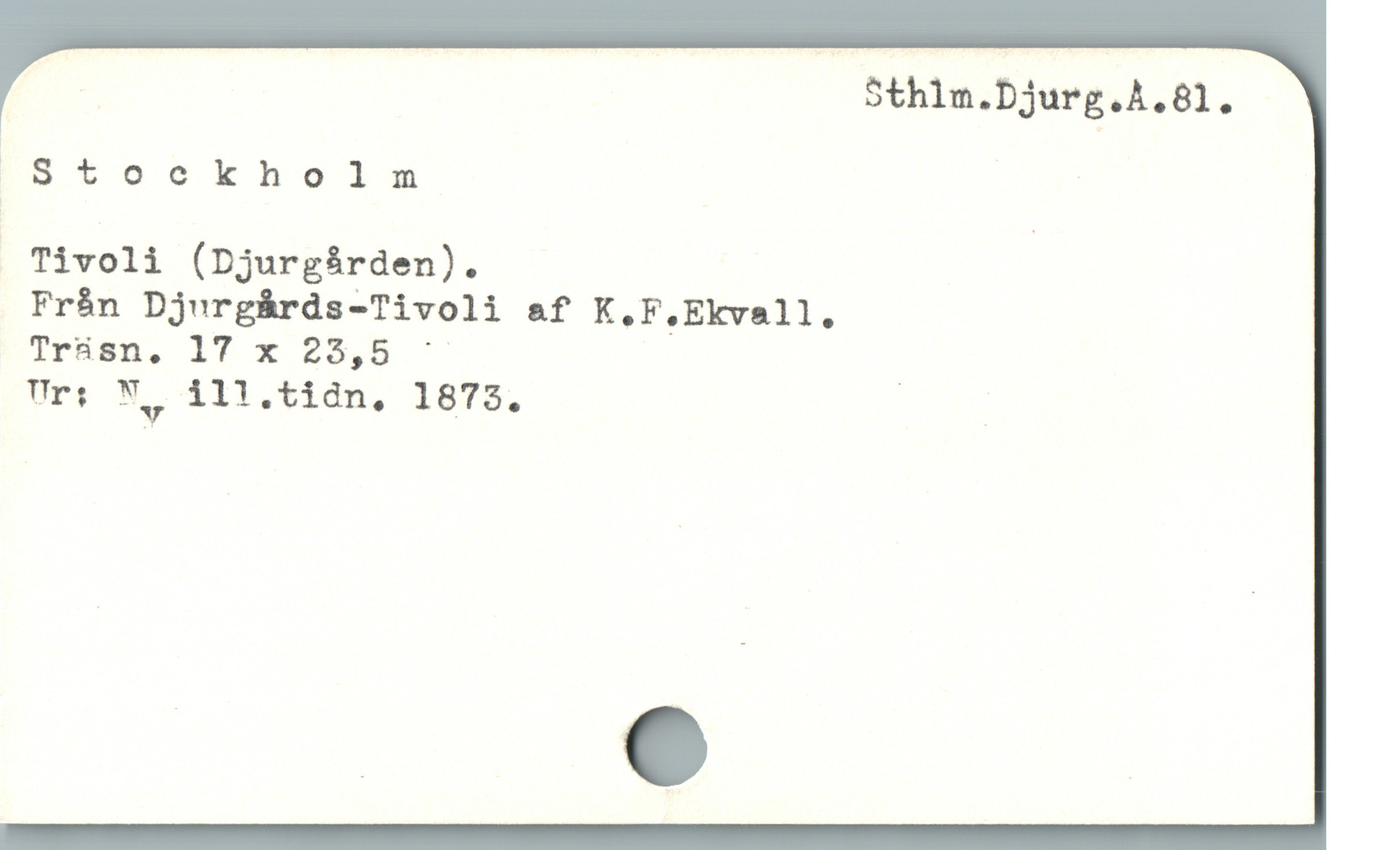  Sthlm.Djurg.A.81.
Stockholm |
 Tivoli (Djurgården).
Från Djurgårds-Tivoli af K.F.Ekvall.
IrüHanm, IT x 25,8."
Uri W 111.tidn, 1875. X s

