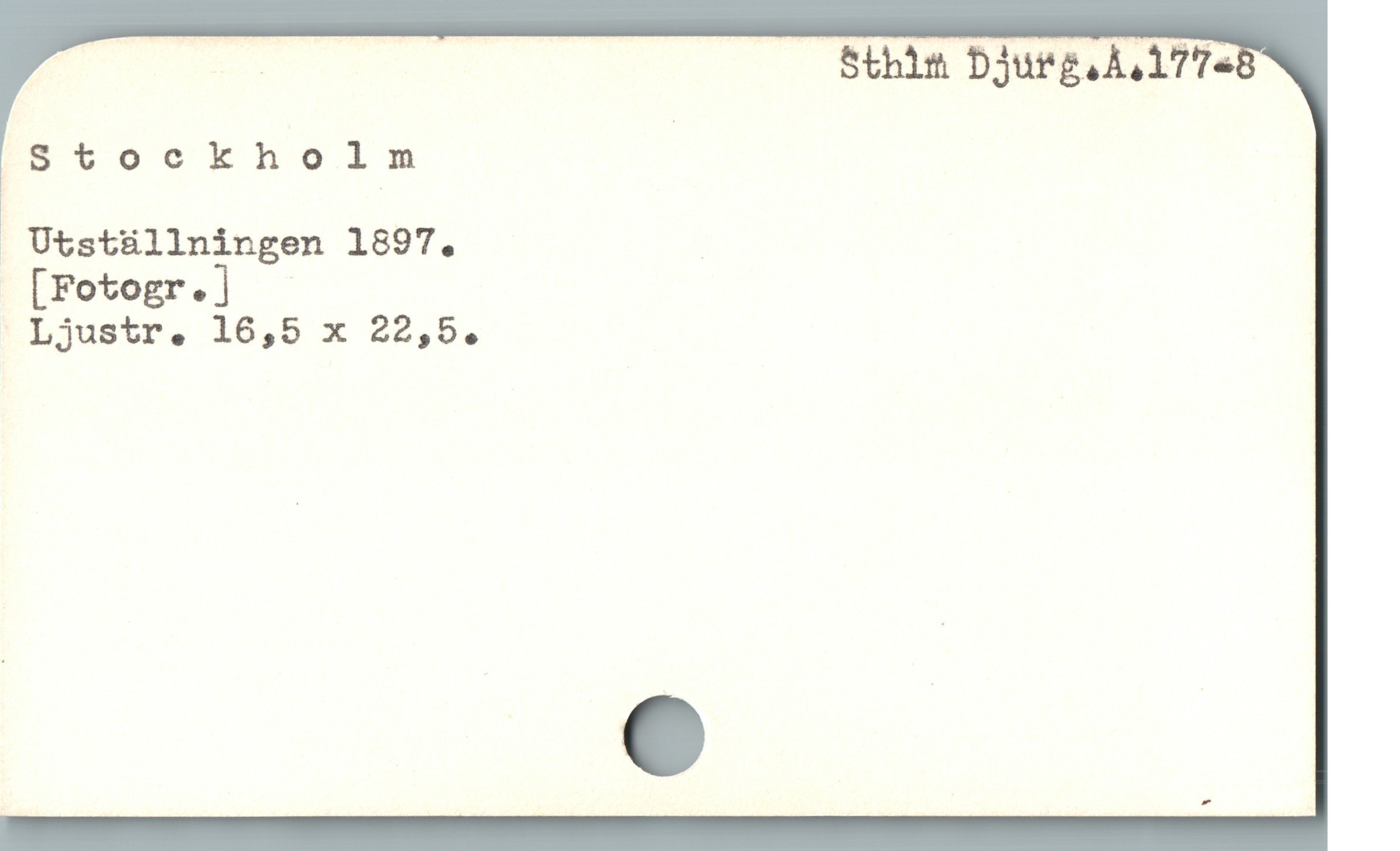  — Sthim DJurga A. 17 7e
Stockholm |
. Utstüllningen 1897. |
[Fotogr. ]
