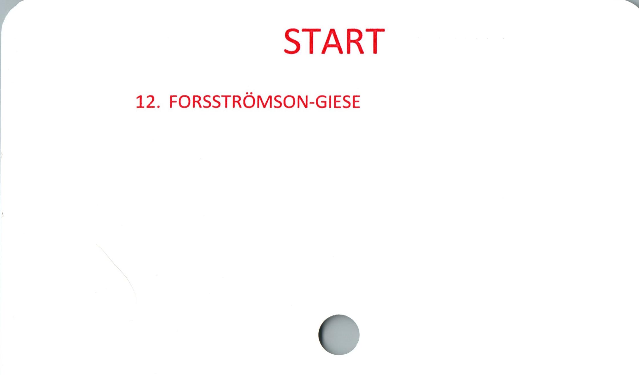  ﻿START

12. FORSSTRÖMSON-GIESE