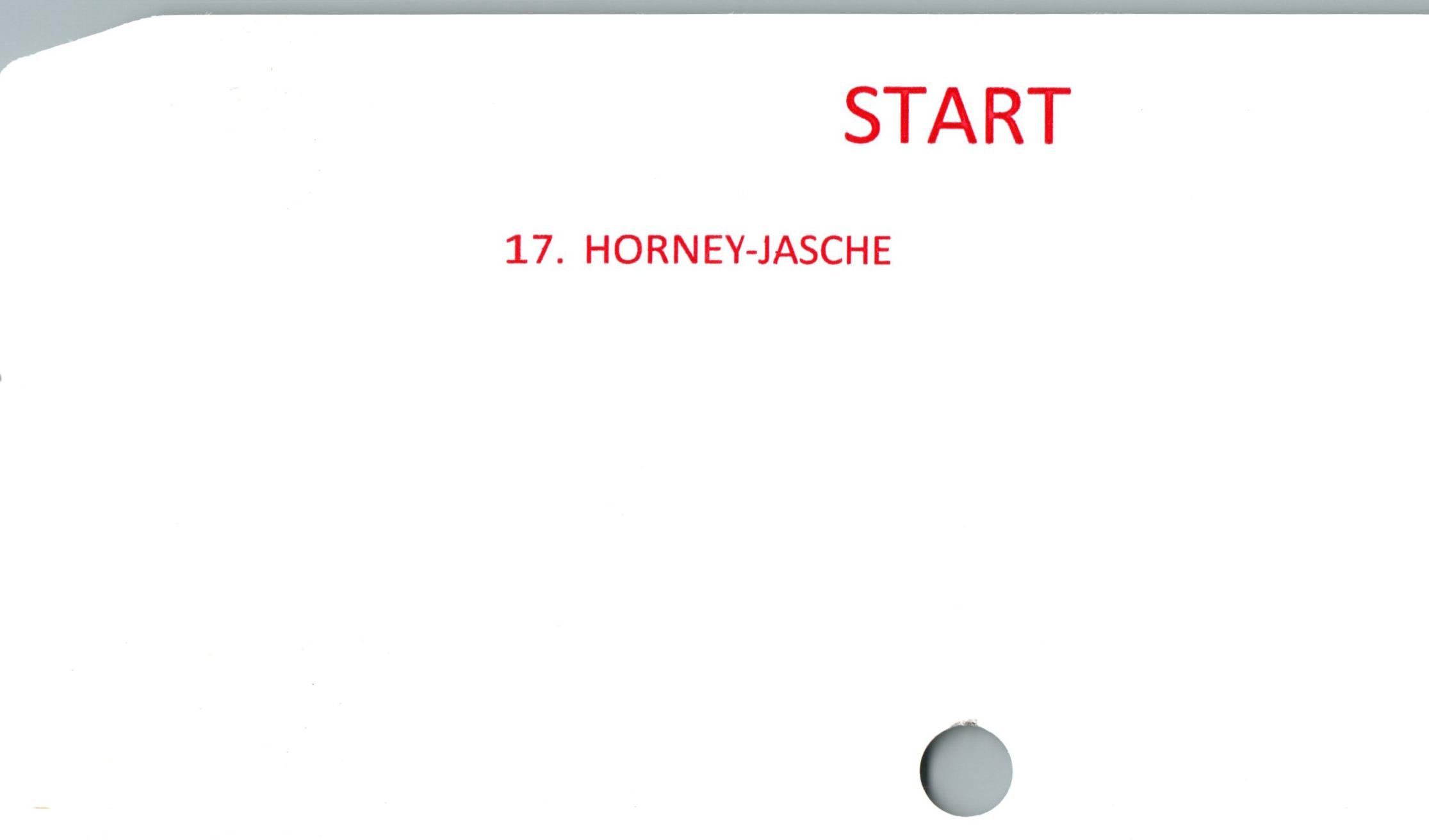  ﻿START

17. HORNEV-JASCHE